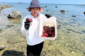 #赶海 #户外赶海抓海鲜 乡村赶海生活非常安逸，资源丰富的海域抓螃蟹特别过瘾，面包蟹抓起来特别解压#抓螃蟹视频封面