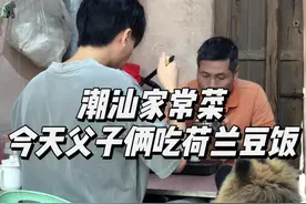什么当季就吃什么！今天父子俩吃荷兰豆饭 #记录真实生活 #我的乡村生活 #人间烟火 #家常菜 #杜有趣视频封面