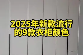 2025年新款流行的9款衣柜柜门颜色，你喜欢哪一款？ #衣柜 #装修 #装修分享 #柜子配色怎么配出高级感 #现代简约高级感配色