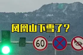 #四川达州  凤凰山下雪了❄️？#下雪🌨 #真的下雪了 #断崖式降温视频封面