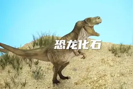恐龙化石的形成#科普 #恐龙 #古生物化石视频封面