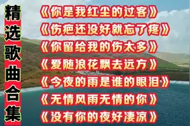 #每日推荐音乐 《你是我红尘的过客》视频封面
