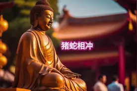 #属猪#属蛇#生肖蛇 #生肖猪#属相婚配视频封面