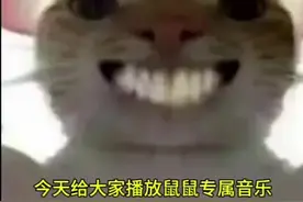 #吃鸡日常 #魔性猫咪表情包视频封面