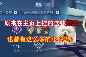 原来在王者主页上挂的这些英雄也都有这么多的小心思