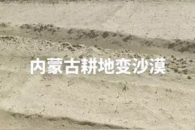 内蒙古耕地变沙漠#草原视频封面