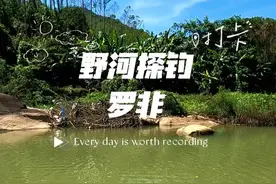 10-11月是钓罗非的黄金季节，全天都可以钓。#鸭饲料钓罗非 #放假啦快出来钓鱼了喂视频封面
