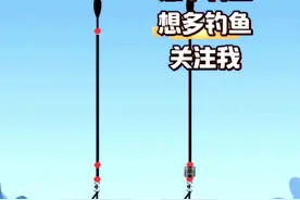 #调漂 #调漂教程 #钓鱼新手必学 #调漂技巧 #钓鱼教学视频封面