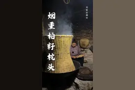 千年之前，先辈们便发现侧柏籽的价值，采来草本熏干，装入透气布袋，以此制成枕头。如今，我们依然坚守这项传统手艺！#侧柏籽枕头#记录农村生活视频封面