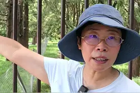 天坛的柏树 天坛的柏树整齐如田字格一般，又像是列队而立的仪仗队，那天坛为什么种的是柏树而不是其他树呢#曼行北京 #天坛 #北京旅游 #北京中轴线 #大有学问视频封面