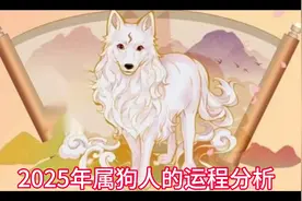 #2025年属狗人的运程分析2025年是丙申年,对于出生在狗年的人来说