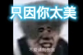 《只因你太美》原曲#只因你太美 #蔡徐坤视频封面