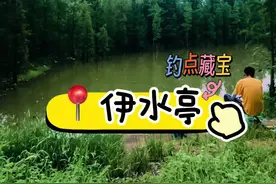 #钓鱼 别再叫我们空军小分队了，自留地都贡献出来了！#抖音垂钓季 #钓鱼日记 #野钓三贱客 #挑战洛阳100个钓点视频封面