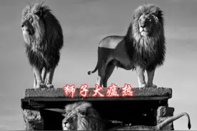 犬瘟热——犬瘟热的流行病，这些病毒经常在家犬身上出现视频封面