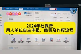 2024年新版电局社保费申报及缴纳流程#社保#会计实操 #报税实操视频封面