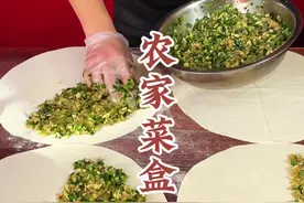 农家菜盒 不用发面操作简单的农家菜盒咱们如何制作出皮薄馅儿大，凉了以后不干不硬的效果呢？今天杨师傅教你！#菜盒子 #韭菜盒子 #农家菜盒 #馅饼 #农家饭视频封面