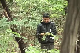 山里有个怪男孩，独自一人住在深山中#奇闻奇事视频封面