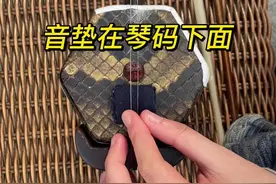音垫和琴码的正确摆放#二胡#二胡教学#二胡基础教学#二胡入门#长沙二胡教学#长沙二胡培训#二胡零基础#二胡零基础教学