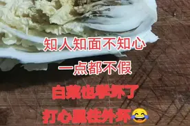 世风日下，人心不古 连白菜都学坏了😂😂😂 #人间真理视频封面