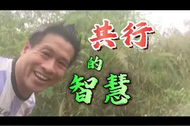 如何保持激情（阿根廷夺冠几率大吗）不断进步？   #阿根廷视频封面