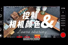 再也不用为手机拍摄颜色不容易发愁了。 #调色#相机专业模式