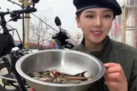 东北第一鲜，活泥鳅下锅不去内脏不去长，一口一条嗦着吃太过瘾啦视频封面