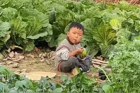 农村孩子的快乐😂#农村孩子的童年 #散养的娃#平淡治愈的乡村生活#这才是童年真实的样子 #调皮捣蛋的小家伙视频封面
