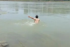 胖猫事件活得很哟！ 我也会跳 但是不怕 我会浮水 嘻嘻视频封面