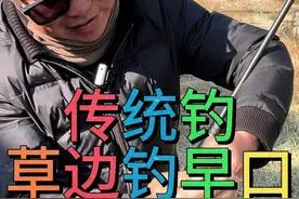 完了完了！传统钓上瘾了！#钓鱼的乐趣只有钓鱼人懂视频封面