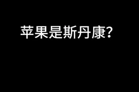 苹果是斯丹康？别放p了#苹果手机 #iphone15pro #斯丹康#iphone视频封面