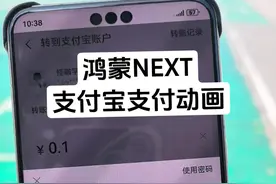 华为鸿蒙next支付宝新的面容支付动画效果！很不错！#华为 #鸿蒙next #数码科技 #mate60pro视频封面