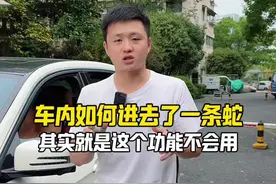 这个功能没用好，车里容易进各种动物#每天一个汽车知识