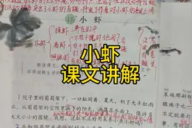 三年级语文下册《小虾》课文讲解视频封面