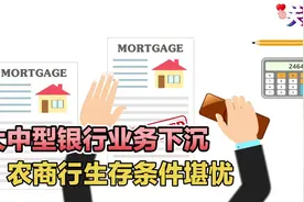 大中型银行业务下沉，农商行生存条件堪忧视频封面