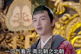 一口气看完南北朝之北朝142年历史 #南北朝 #北朝 #历史视频封面