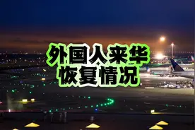 外国人来华人数，恢复了多少 #旅游 #外国人视频封面