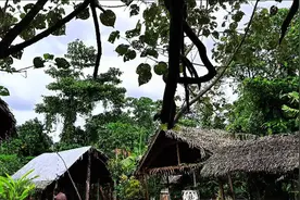 瓦努阿图裸族视频封面