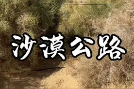 565 公里的沙漠公路，436 公里的防沙绿化带，每 4 公里一个人， 108 个水井站灌溉了“死亡之海”连绵不断的绿色动脉。#塔克拉玛干沙漠 #无人区穿越视频封面