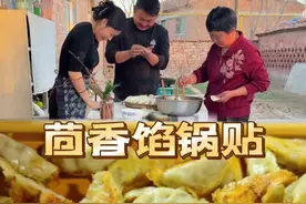 有姐妹和我一样爱吃茴香的吗？香味独特和肉是最好的搭配，茴香馅锅贴香酥美味#我的乡村生活 #农村生活 #生活的烟火气息 #乡村味道 #农村原创视频
