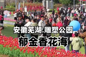 记录2025年春雕塑公园的郁金香花海，现场人很多，花也很漂亮视频封面
