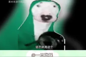 大冒险输了就让朋友念这个尴尬语录#大冒险惩罚 #真心话大冒险