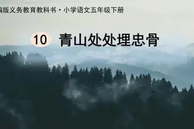 五年级语文《青山处处埋忠骨》第二课时课件ppt+教学设计+逐字…视频封面
