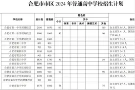 2024年合肥市区普通高中招生计划及省示范高中指标到校生计划公布视频封面