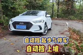 开自动挡车正确起步和停车步骤，老司机演示给你看，新手一学就会视频封面
