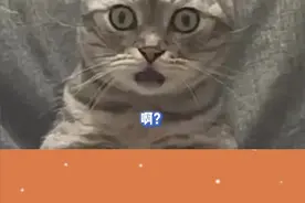 还好我没钱买那么多谷子 #深度 #谷子 #危险视频封面
