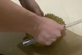 15号买的榴莲，放了四天了没一点味，决定劈开看看，啪