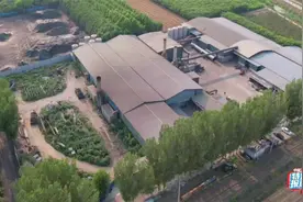 石家庄毒污泥成肥料，惊人视频封面