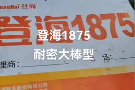 高产玉米看登海#高产玉米种子视频封面