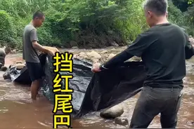 下河挡红尾巴鱼！ 今天下河挡红尾巴鱼，已经好多年没遇到这种情况啦！太多啦！手都按抽筋！#我的乡村生活 #农村生活 #记录真实生活视频封面