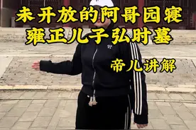 为开放阿哥园寝雍正皇帝儿子弘时的墓 为何雍正会将弘时摘除黄带子赶出宗室#历史#文化 #雍正王朝 #帝儿游北京视频封面